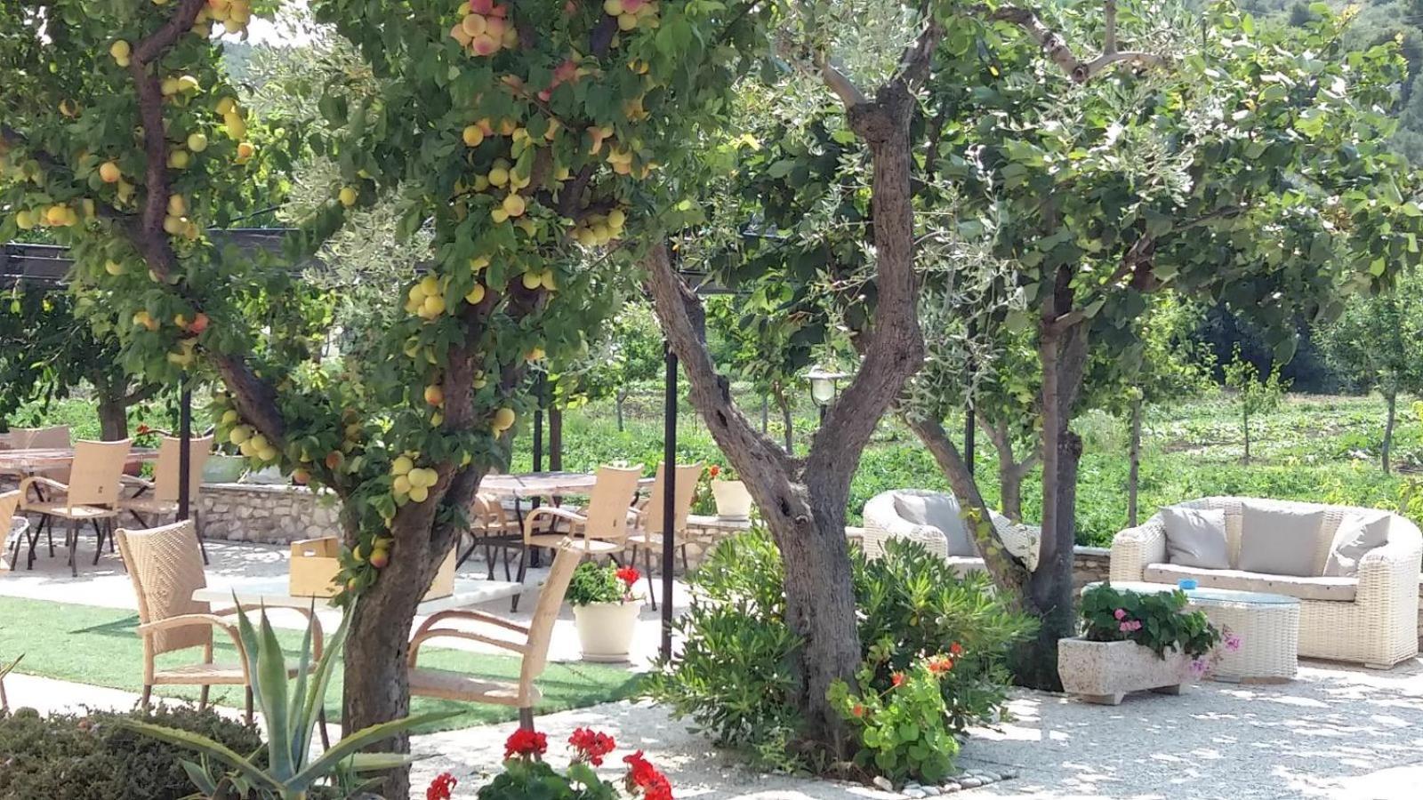 Il Gelso Bianco Hotel Vieste Buitenkant foto